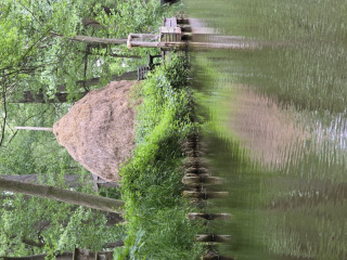 20250519_Spreewald_ (14)
